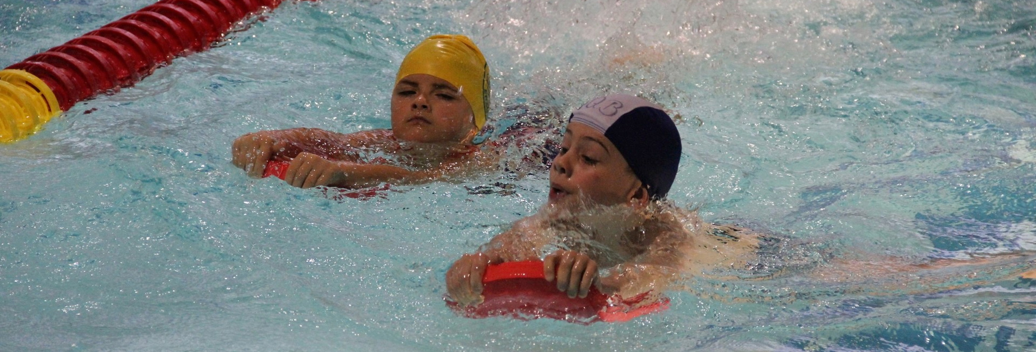 Schwimmkurse für Kinder und Erwachsene beim Schwimmteam Erzgebirge